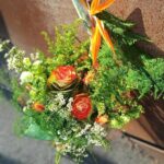 313072721_2370441276445979_9101503500754600560_n