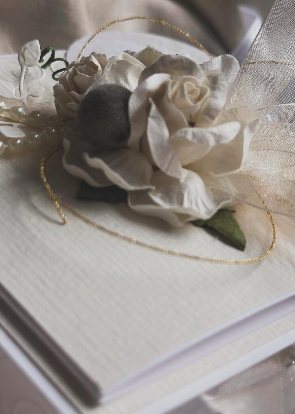 F633DBAE-2312-445B-A1F6-9F9D2E0A71CF